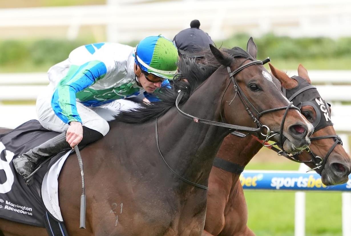 HURRY GIVES THEM CURRY IN ANSETT CLASSIC